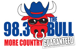 98.3 The Bull